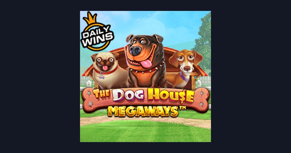 Rahasia Menang The Dog House Megaways: Tips Seru Buat Pemula